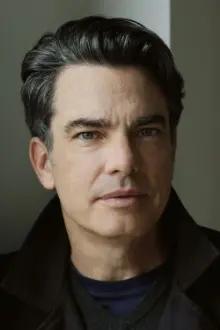 Peter Gallagher como: Larry Levy