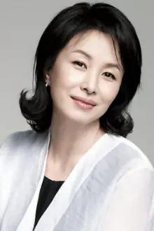 Kim Mi-sook como: Seo Han-sook
