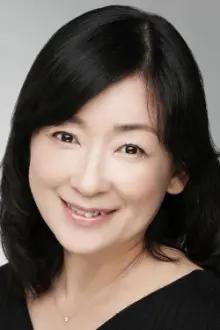 Yuko Minaguchi como: Pan / Videl (voice)