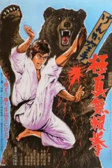 Karate Bear Fighter