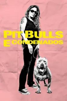 Pit Bulls Condenados