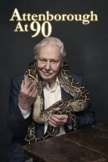 Attenborough aos 90
