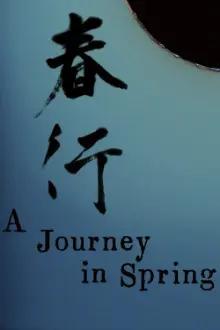 A Journey in Spring